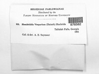 Image Associated With the Occurence